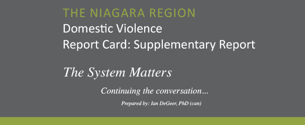 Domestic Violence Report Card Supplementary Report 2013