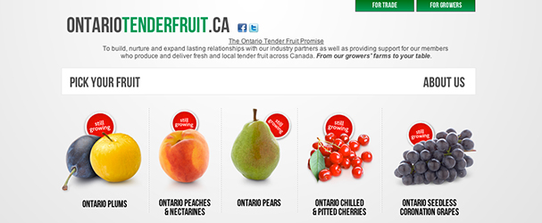 Ontario Tender Fruit
