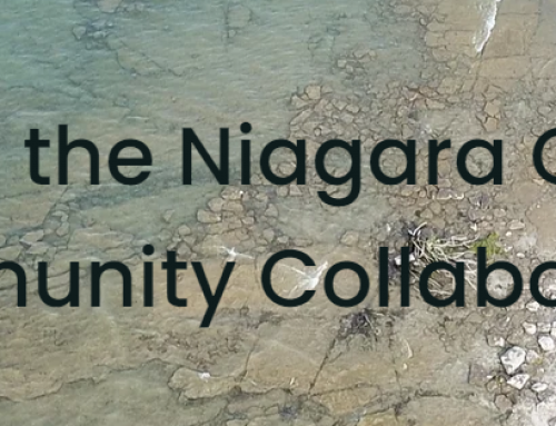 Niagara Coastal Community Collaborative