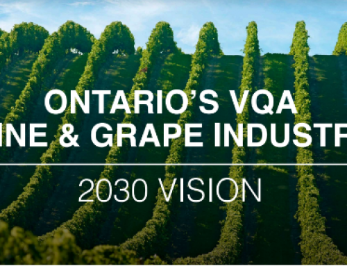Ontario’s VQA Wine and Grape Industry 2030 Vision